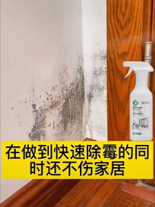 Wall Mold Remover Spray 500ml Fast Acting Kills Mold & Mildew Prevents Regrowth Non-Toxic Formula Safe for Kids/Pets