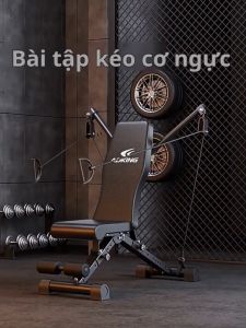 Ghế tập gym đa năng Ghế tập tạ đệm mút khung thép chắc chắn