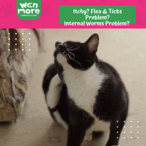 WAN MORE Flea & Ticks Soft Chew For Cat and Dog Include Deworming