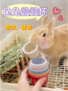 ของเล่นกระต่ายซ้อนถ้วยหนูตะเภาสัตว์เลี้ยงของเล่นเคี้ยวของเล่นบรรเทาความเบื่อของเล่นกระต่าย Voa ยี่ห้อปกติข้อกําหนด