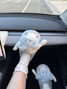 Dép Bông Dày Ấm Áp Mùa Đông Cho Nữ Dép Bông Chống Trượt Đế EVA Dép Cotton Thoải Mái Cho Phụ Nữ Giày Đi Trong Nhà