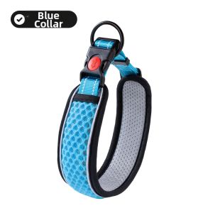 7o | Dog Traction Collar and Leash for Small to Medium Large Dogs