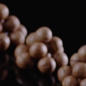 三只松鼠-夏威夷果 100克 THREE SQUIRRELS-Macadamia Nuts 100G