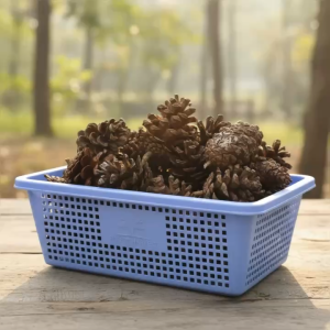1 Kg Quả Thông Khô Tự Nhiên Trang Trí – Decor Giáng Sinh Thủ Công Mỹ Thuật (45-50 Trái)