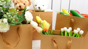 【K-BOX】Kraft Paper Bag Plain Rope Handle Hand bag Gift Bag Paperbag per