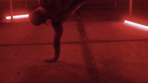 Bột uống bổ sung Creatine hỗ trợ tăng cơ Codeage Liposomal Creatine Monohydrate 455g