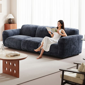 SHENGNIWEIER | Ghế Sofa Điều Chỉnh Được và Có Thể Giặt Dành cho Phòng Khách
