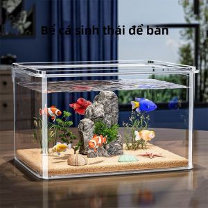 DOCOXO | Bể Cá và Rùa Acrylic