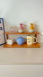 Desktop Storage Rack Organizer Book Shelf minimalist style For living Room Office