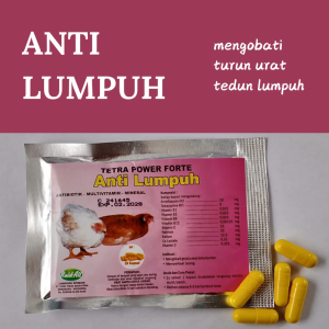 ANTI LUMPUH pengobatan ayam pincang