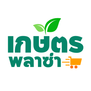 ผักชีไทย ประกายเพชร กอใหญ่ โตไว น้ำหนักดี