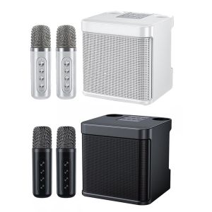 YS-203 ลำโพง คาราโอเกะ หุ้นลำโพง 2 ประเภท เพื่อบ้าน หนังสือเสริมสวยที่มีไมค์