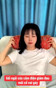 Gối Ngải Cứu Cắm Điện Làm Nóng Cổ Giúp Giảm Đau Vai Gáy Cổ Gối Kê Cổ Thảo Dược Hương Thơm Thảo Mộc Vuadienmay