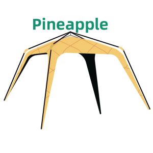 CNHIMALAYA | Sun Protection Easy Setup Instant Shelter Tent