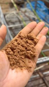 Bột Gỗ Ngọc Am Hà Giang Nguyên Chất 500g - Chuẩn Xịn - thơm phòng khử mùi chiêu tài dẫn lộc