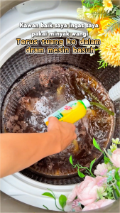 Seaways Liquid Washing Machine Cleaner（270g）100% Mite Removal floral scent [No soaking needed!]