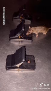 E-STORE Mouse Trap Rodent Catcher Rat Snap Heavy Duty Reusable