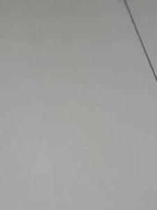 Yi Nian Japanese Cockroach Bait Whole Nest Household Non-toxic One Pot End Powerful Cockroach Killer Gel Bait Little Strong Artifact Wholesale