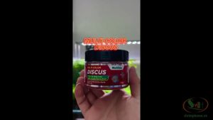 Thức ăn cá dĩa Multi Color Discus hạt nổi chìm chậm tăng màu cá cảnh