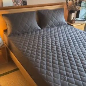 Waterproof Mattress Protector Cover Queen/King Smooth Fitted Bed Sheet Cadar Topper Bedsheet PH Ready Stock can COD