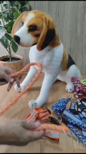 Pet Harness Dog Cat Uk. M / Tali Tuntun Anjing Kucing Tambang Reflective