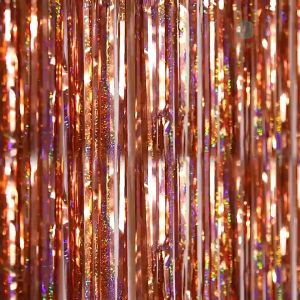 【Ready Stock】2m Laser Fringe Foil Curtains Photo Backdrop For Birthday Party Home Decor