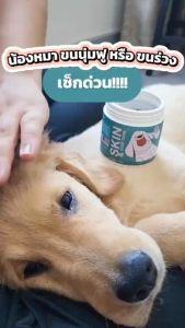 คุ้ม2กระปุก Gentle Paws ขนมสุนัข สูตรบำรุงผิวหนังและขน Gentle Paws Skin & Coat Care Soft Treats for Dogs แถม1choco joy