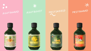 Trị Vàng Lá Dưỡng Lá Giúp Lá Xanh Mướt Kích Chồi Lá Chế Phẩm Sinh Học SUNLEAF 100% Hữu Cơ Dinh Dưỡng Cho Rau Ăn Lá