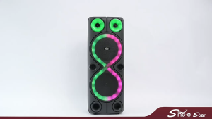 ZQS-8238 8" High-Power Bluetooth Speaker – Dual 8" Woofers RGB Lights Wireless Mic Pair Built-in Battery | Portable Outdoor DJ Party Speaker