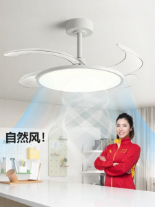 HUANGJIANG | Invisible Inverter Fan Ceiling Light
