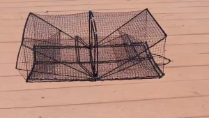 Crab Trap Cage Square Foldable Crab Trap Sturdy Fish Cage Fishing Net Shrimp Cage