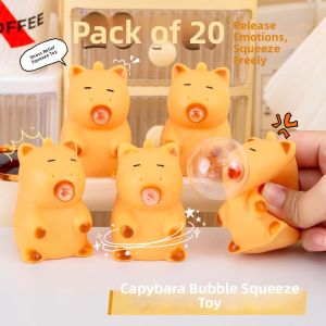 Stress Relief Cute Cartoon Capybara Toy