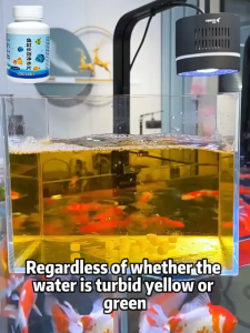 ✨Tank as clear as a mirror.✨Aquarium water purifier tablets 100pcs Clean water wont harm the fish