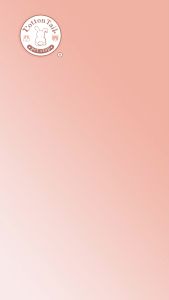 Cat Toilet Scoop / Sendok Pasir / Sekop Kucing PF121