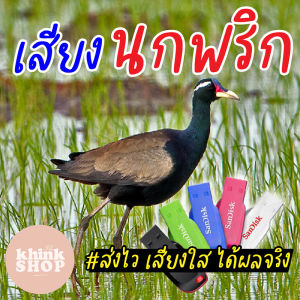 เสียงต่อนกพริก เมมเสียงนกพริก แฟลชไดร์ฟเสียงต่อนกพริก เสียงนกพริกจาก มีเก็บเงินปลายทาง