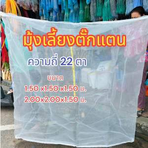 มุ้งตั๊กแตน มุ้งเลี้ยงตั๊กแตนสีขาว กระชังเลี้ยงตั๊กแตน ความถี่ 22 ตา สูง 1.50 เมตร กระชังสำเร็จรูปพร้อมใช้งาน