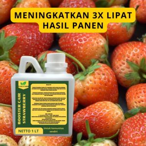 Pupuk Semprot Pelebat Buah Strawberry: ZPT Pupuk Strawberry