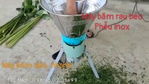 Máy thái rau  bèo phễu trên được làm bằng inox  chống han rỉ
