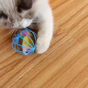 Đồ Chơi Chó Mèo Cho Thú Cưng Lồng Sắt Chuột Mạnh Mẽ Và Chịu Cắn Mèo Lồng Đồ Chơi Chuột Nhiều Màu Sắc-HAUSE