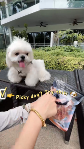 Duck Dog Treats 150g | High Protein Duck Jerky | Chewy Training Reward Snack for Dogs