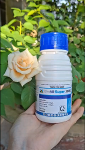 [VTNN TIEN KHOA] Thuốc trừ bệnh rỉ sắt thán thư khô vằn lem lép hạt BRETIL SUPER 300EC chai 240ml