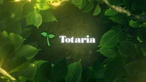 Totaria Complete Binder Detox 2000mg Capsules - Activated Charcoal Zeolite Bentonite Clay NAC Milk Thistle 120 Veg Caps - Cuci Usus Buang Toksin Kembung Perut Relief Made in USA