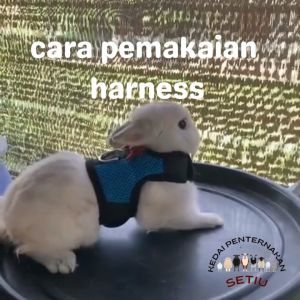 BajuTali PengikatAbah-Abah Sesuai Untuk Haiwan Kecil Seperti Arnab Arbok Kucing Memerang /Small Pet Harness Suitable For Rabbit Cat Guinea Pig Otter Chinchilla