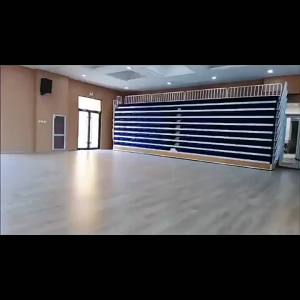 Retractable Movable Fixed Stair Seating