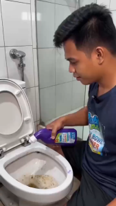 Bubble Dazz Toilet Bowl Cleaner Stain Remover Bathroom Cleaner Powerful Cleaning Anti-Fouling Not Pungent Can Clean Urine Stains Mold Stains Water Stain Scale Sterilization Cleaner Sterilization Bacteriostasis Toilet Cleaner Liquid Home Bathroom 500ml