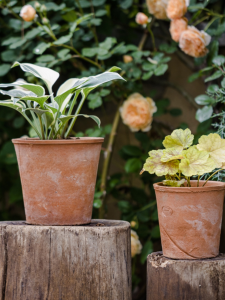 Red Pottery Flowerpot Stoneware Pots Succulent Plant Breathable Flowerpot Ceramic Basin Clay Basin Soil Ceramic Basin Red Ceramic Pot Mud Pot