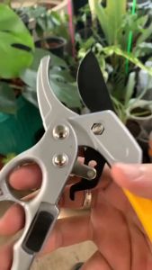 **รุ่นที่คล้ายกันราคาถูกกว่า** กรรไกรตัดแต่งกิ่งเดี่ยว กรรไกรตัดแต่งกิ่ง กรรไกรตัดแต่งกิ่ง sk5 กรรไกรตัดแต่งกิ่ง คีมตัดแต่งกิ่งสามจังหวะ กรรไกรตัดแต่งกิ่ง ตัดแต่งกิ่งดอกไม้ผลไม้