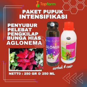 Pupuk Aglonema Untuk Daun Akar / Pupuk Aglonema Perbayak Anakan / Pupuk Aglonema Premium / Pupuk Aglonema Lengkap / Pupuk Aglonema Cair