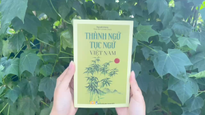 Sách - Thành Ngữ Tục Ngữ Việt Nam (Nguyệt Giang) - Ndbooks