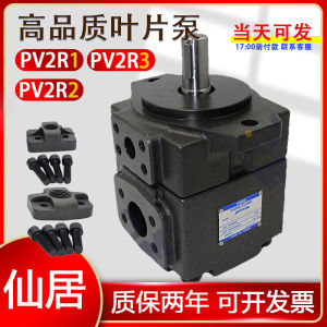 High Pressure Vane Pump Pv2r1 Hydraulic Oil Pump Yongling Pv2r2 Quantitative Hydraulic Pump Assembly Accessories Pv2r3 Pump Head